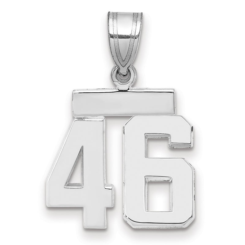 14k White Goldw Small Polished Number 46 Charm