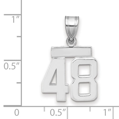 14k White Goldw Small Polished Number 48 Charm