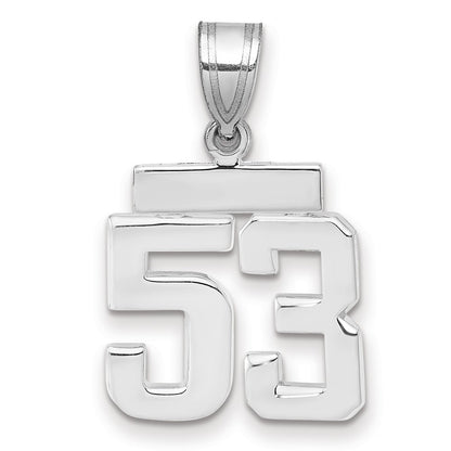 14k White Goldw Small Polished Number 53 Charm