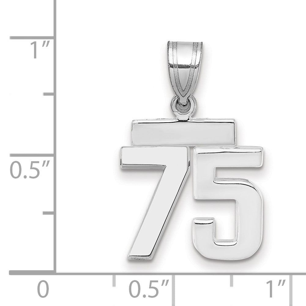 14k White Goldw Small Polished Number 75 Charm