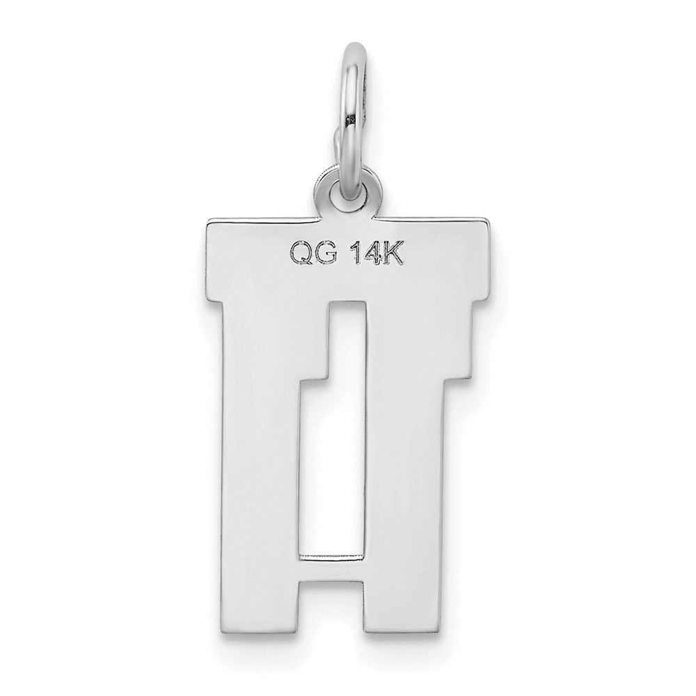 14k White Goldw Small Satin Number 11 Charm
