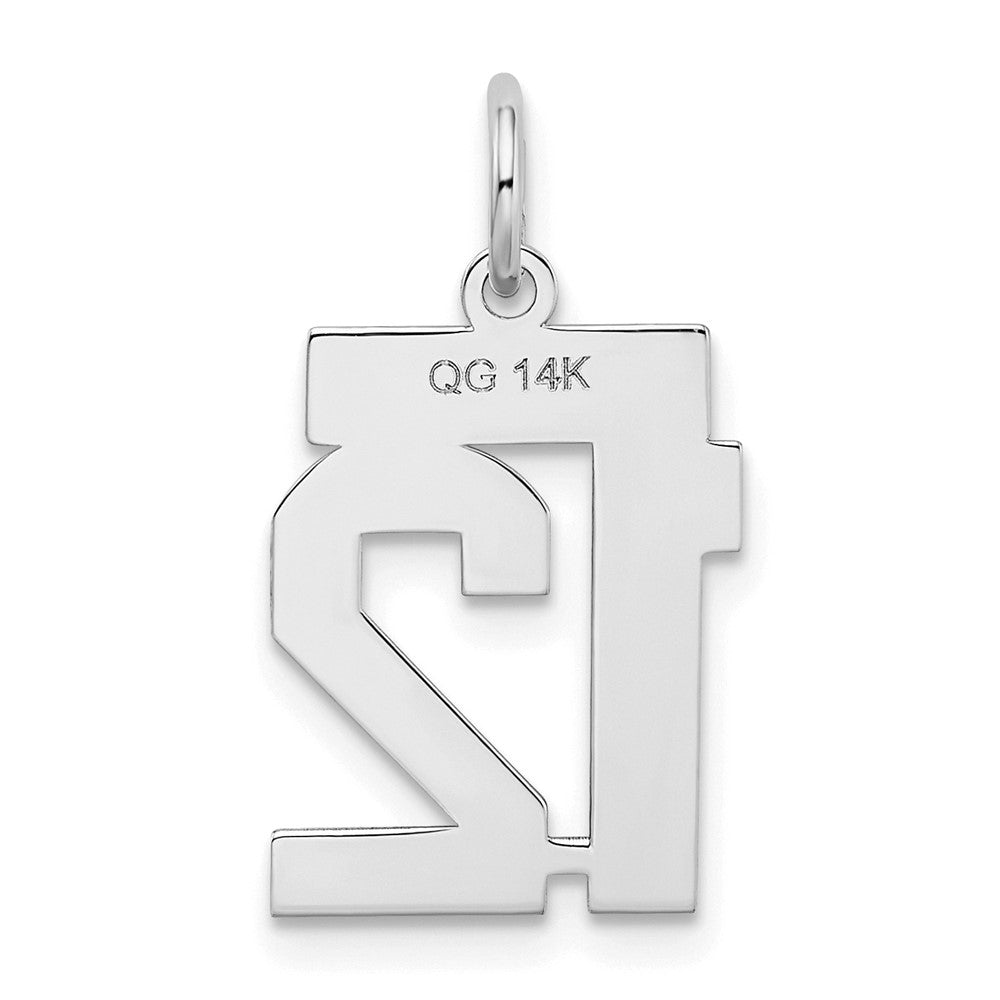 14k White Goldw Small Satin Number 12 Charm