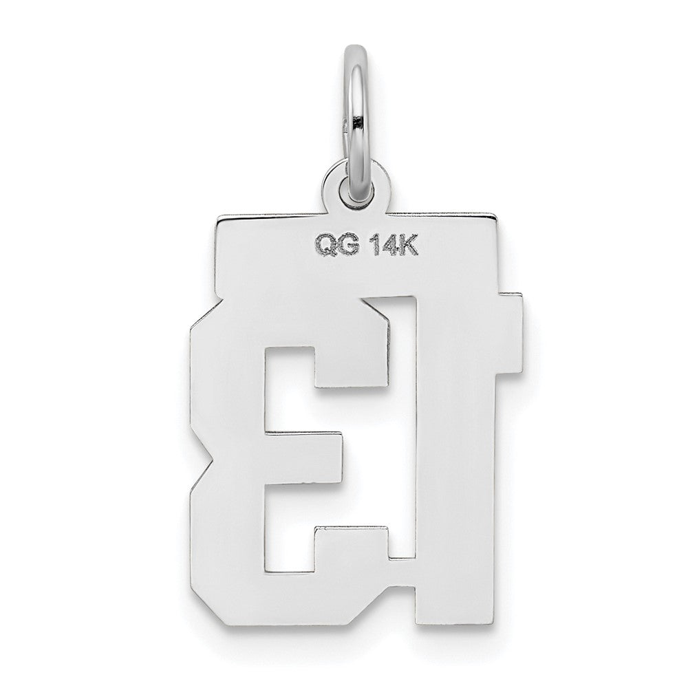 14k White Goldw Small Satin Number 13 Charm