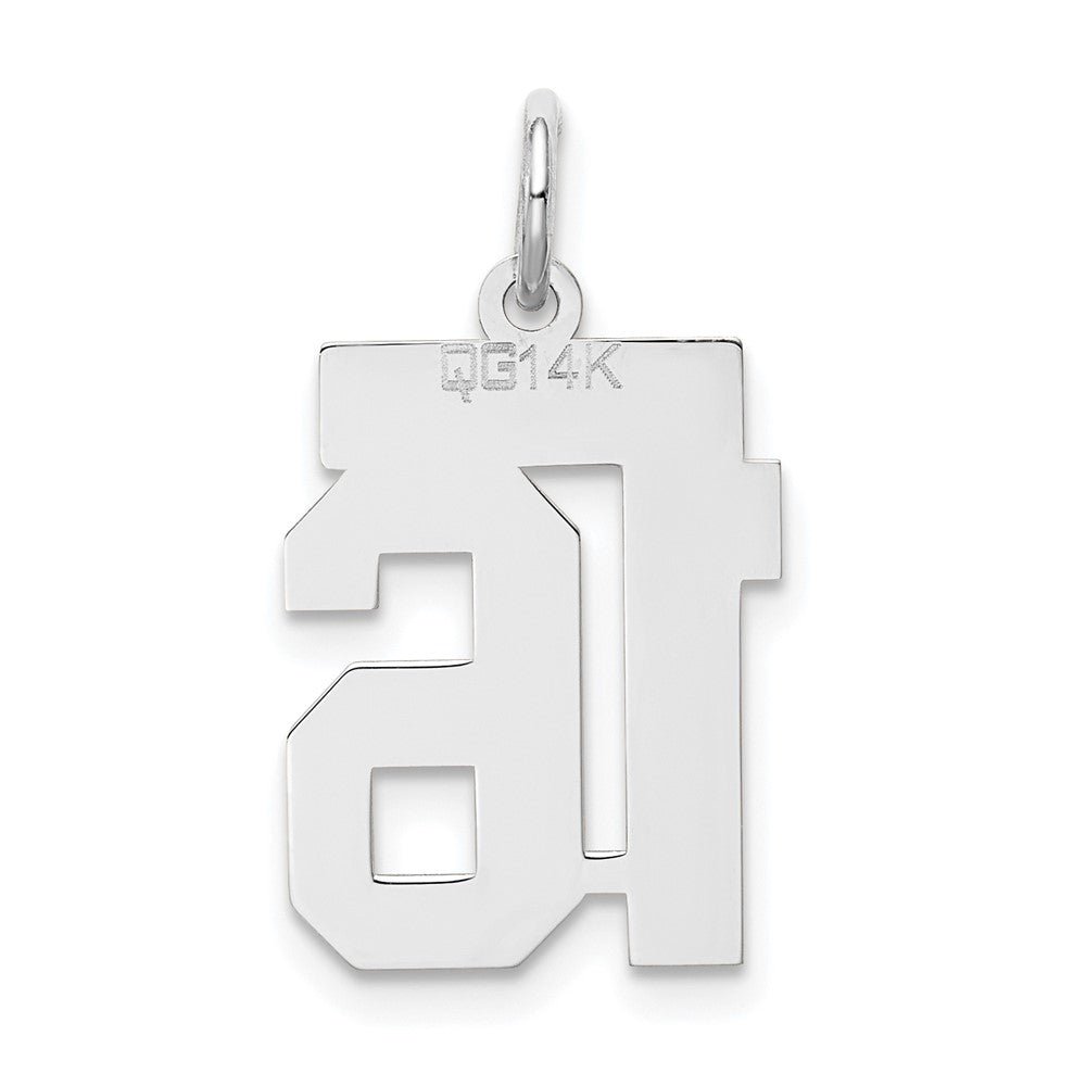 14k White Goldw Small Satin Number 16 Charm