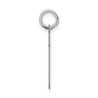 14k White Goldw Small Satin Number 19 Charm