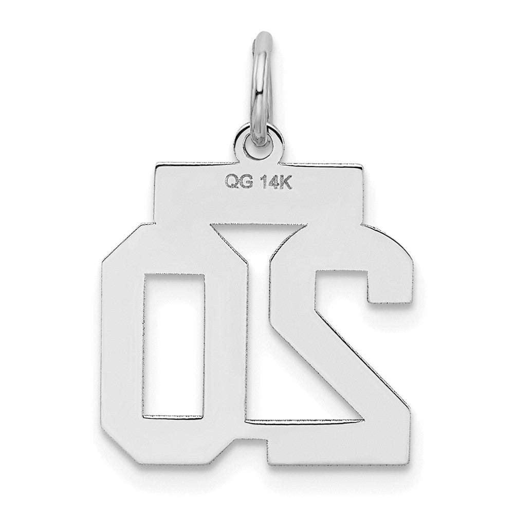 14k White Goldw Small Satin Number 20 Charm