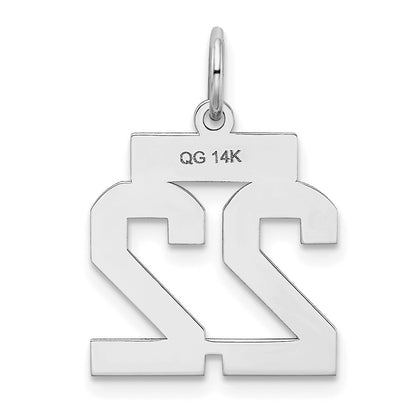 14k White Goldw Small Satin Number 22 Charm