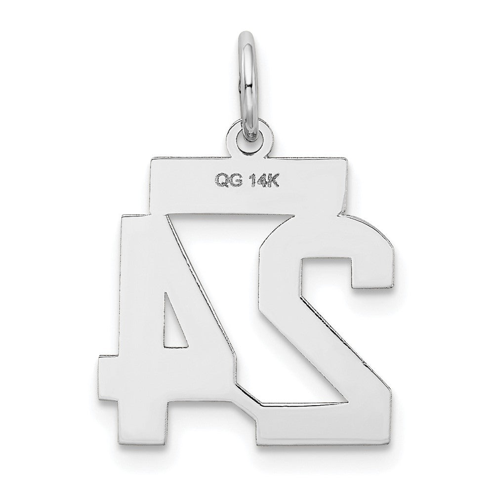 14k White Goldw Small Satin Number 24 Charm