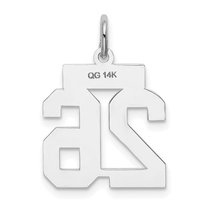 14k White Goldw Small Satin Number 26 Charm