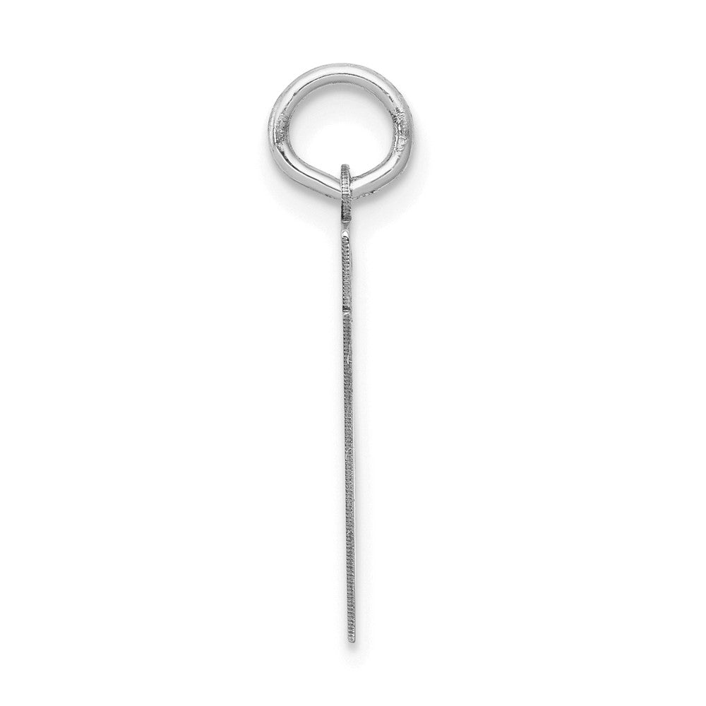 14k White Goldw Small Satin Number 31 Charm