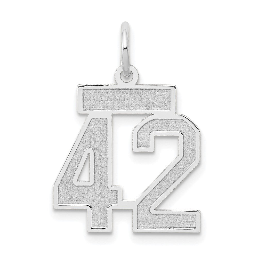 14k White Goldw Small Satin Number 42 Charm