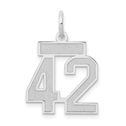 14k White Goldw Small Satin Number 42 Charm
