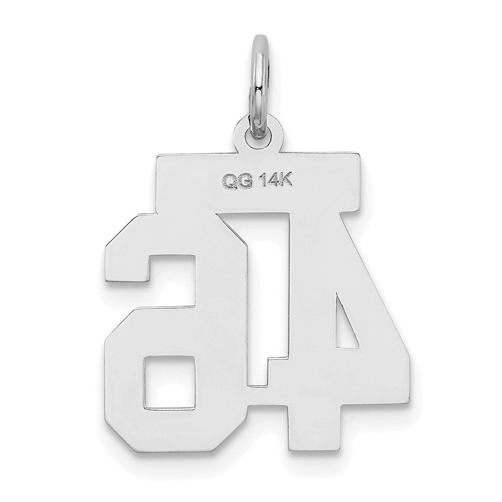 14k White Goldw Small Satin Number 46 Charm