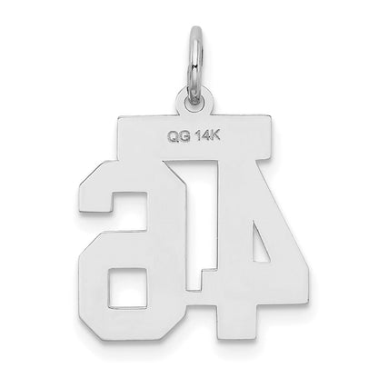 14k White Goldw Small Satin Number 46 Charm