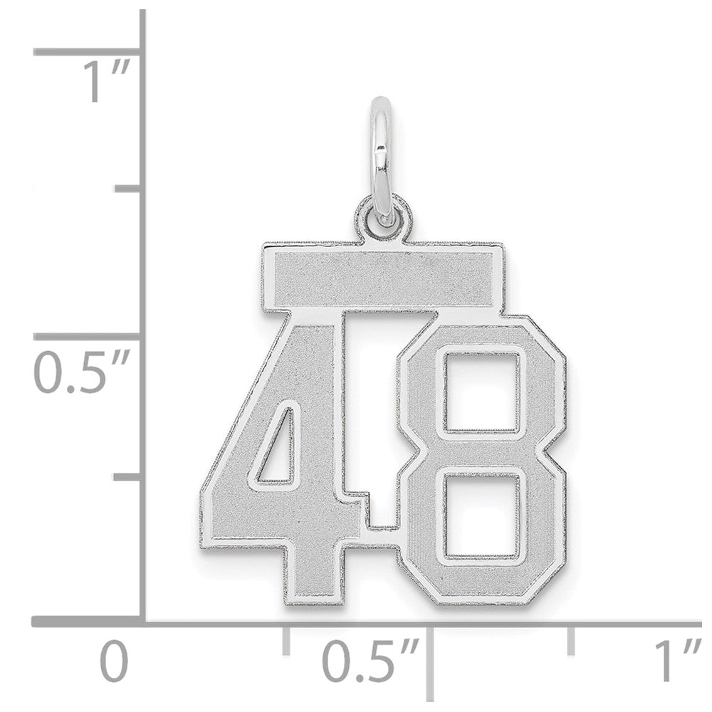 14k White Goldw Small Satin Number 48 Charm