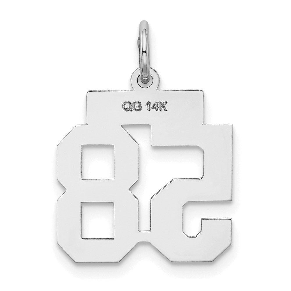 14k White Goldw Small Satin Number 58 Charm