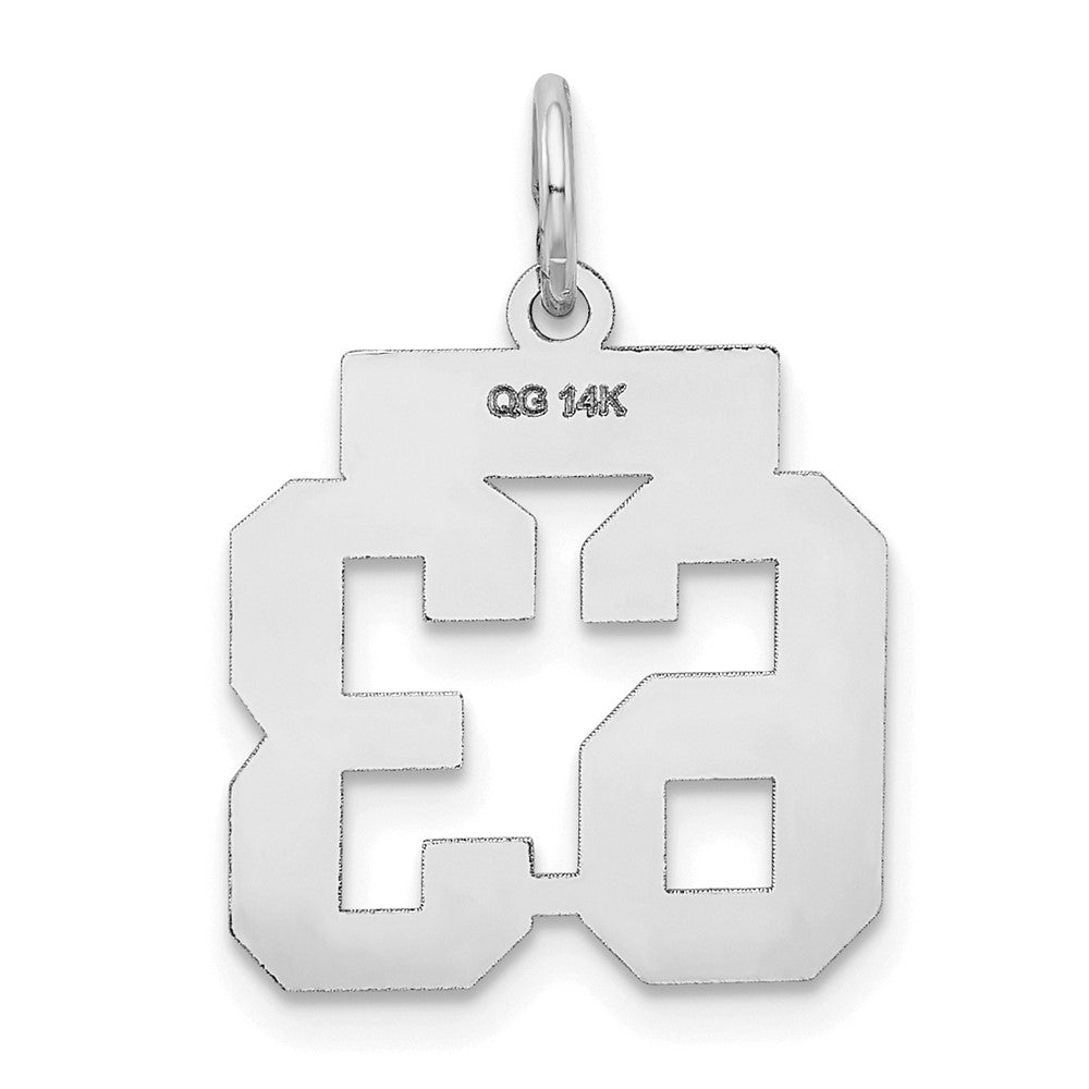 14k White Goldw Small Satin Number 63 Charm