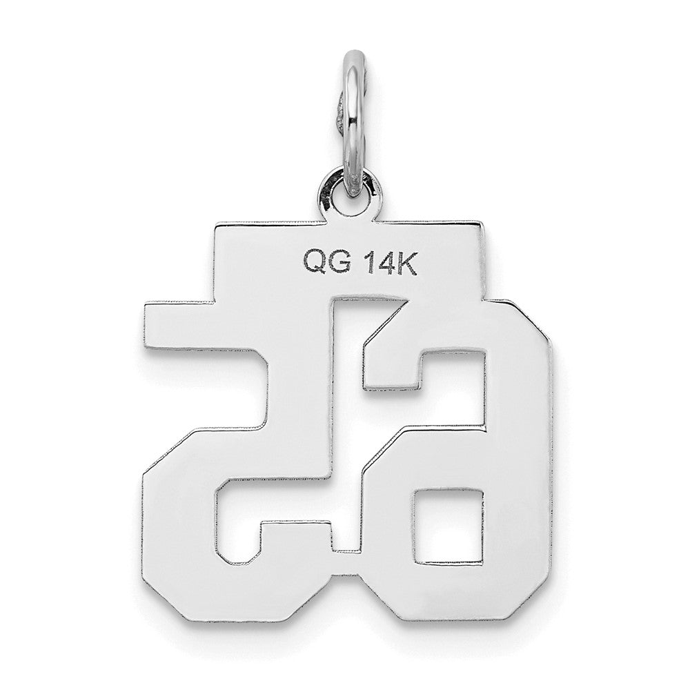 14k White Goldw Small Satin Number 65 Charm