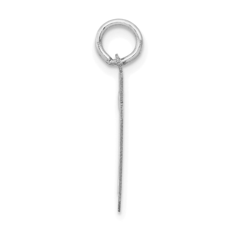 14k White Goldw Small Satin Number 79 Charm