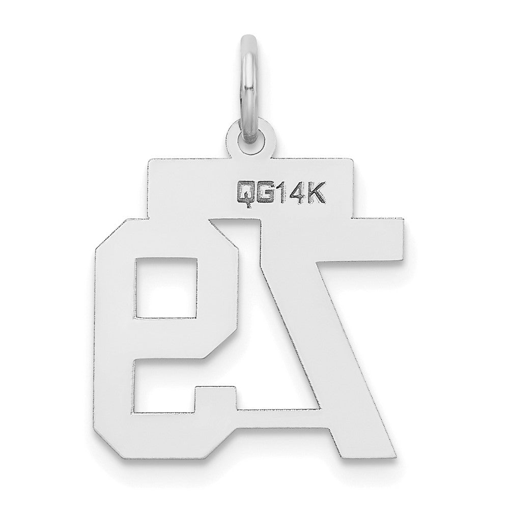 14k White Goldw Small Satin Number 79 Charm