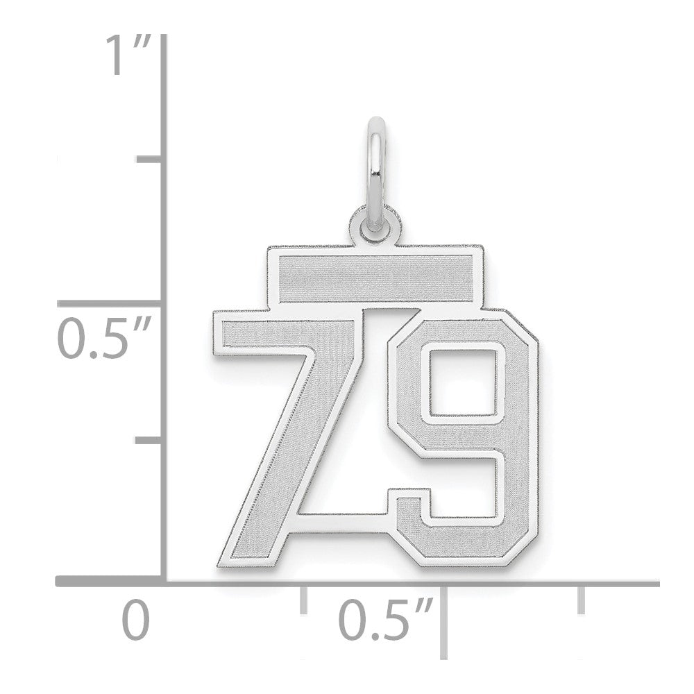 14k White Goldw Small Satin Number 79 Charm