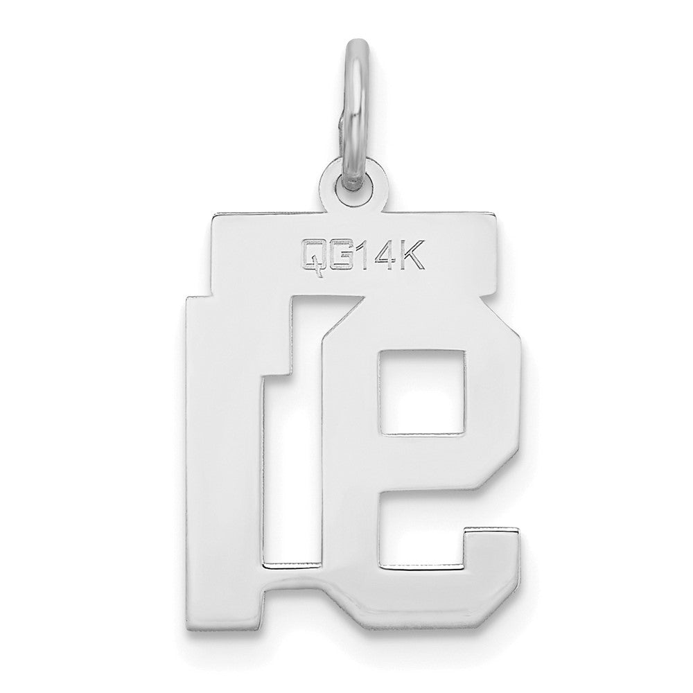 14k White Goldw Small Satin Number 91 Charm