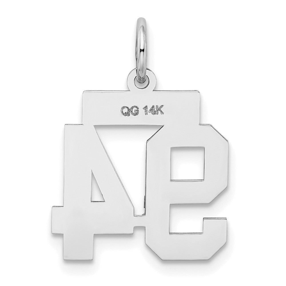 14k White Goldw Small Satin Number 94 Charm