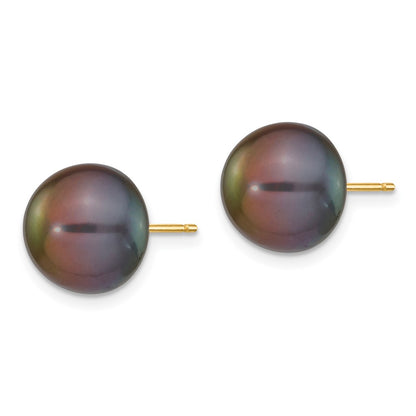 14K Yellow Gold 10-11mm Black Button Freshwater Cultured Pearl Stud Post Earrings