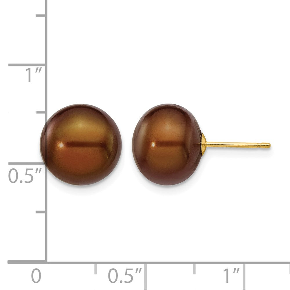 14K Yellow Gold 10-11mm Brown Button Freshwater Cultured Pearl Stud Post Earrings