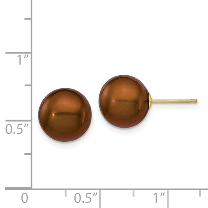 14K Yellow Gold 10 11mm Brown Round Freshwater Cultured Pearl Stud Post Earrings