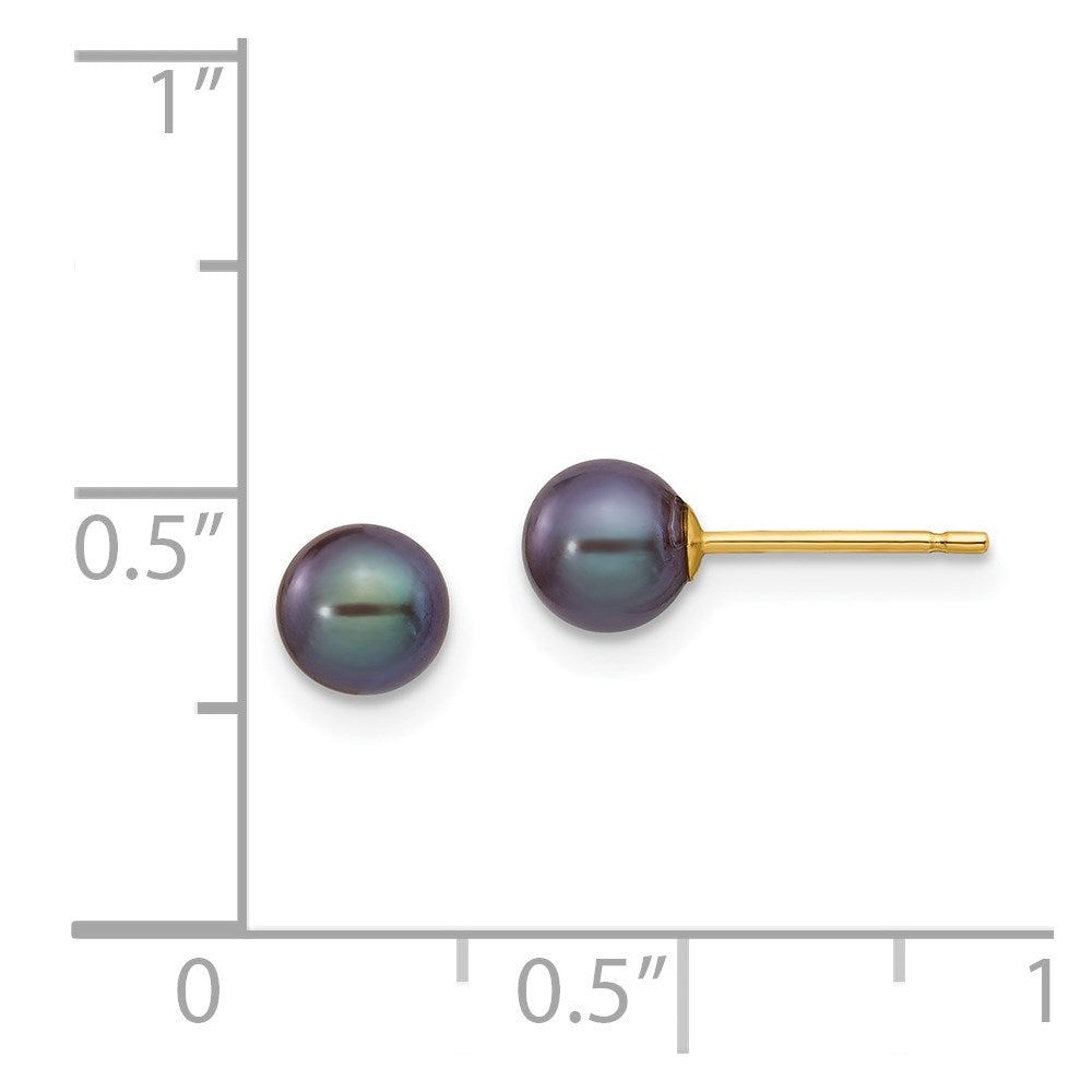 14K Yellow Gold 5 6mm Black Round Freshwater Cultured Pearl Stud Post Earrings