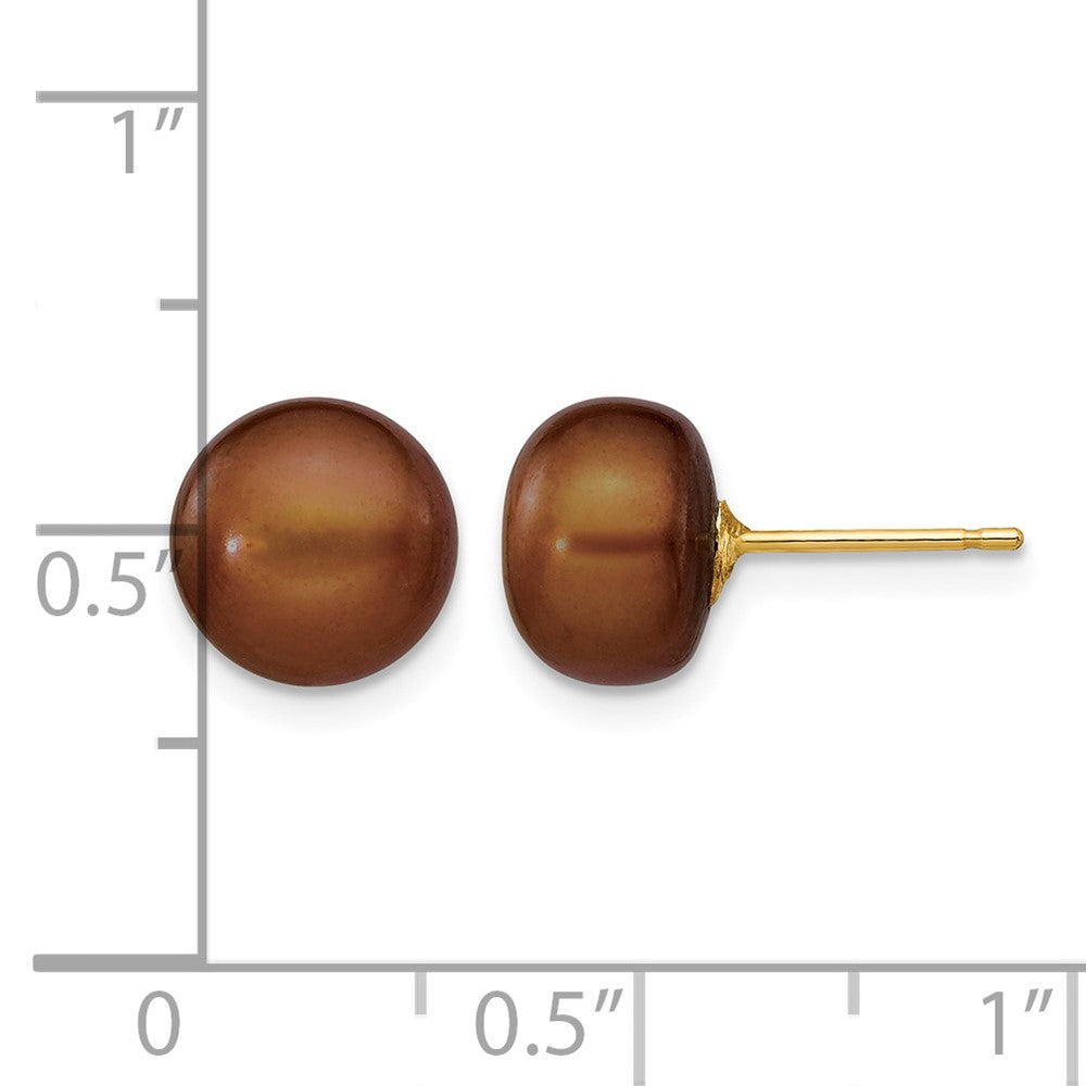 14K Yellow Gold 8-9mm Brown Button Freshwater Cultured Pearl Stud Post Earrings