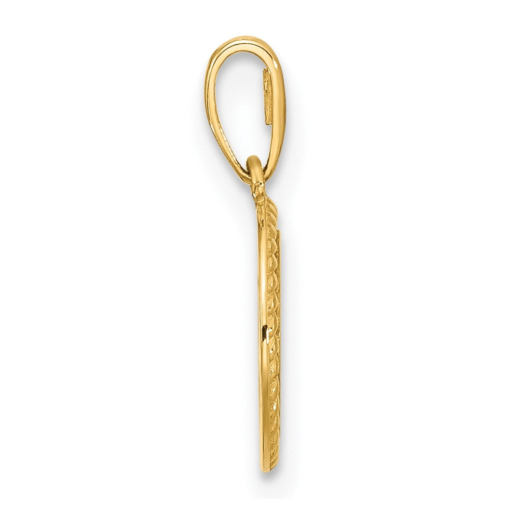 14K Yellow Gold Polished Round with Rope Border Charm