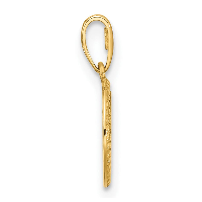 14K Yellow Gold Polished Round with Rope Border Charm