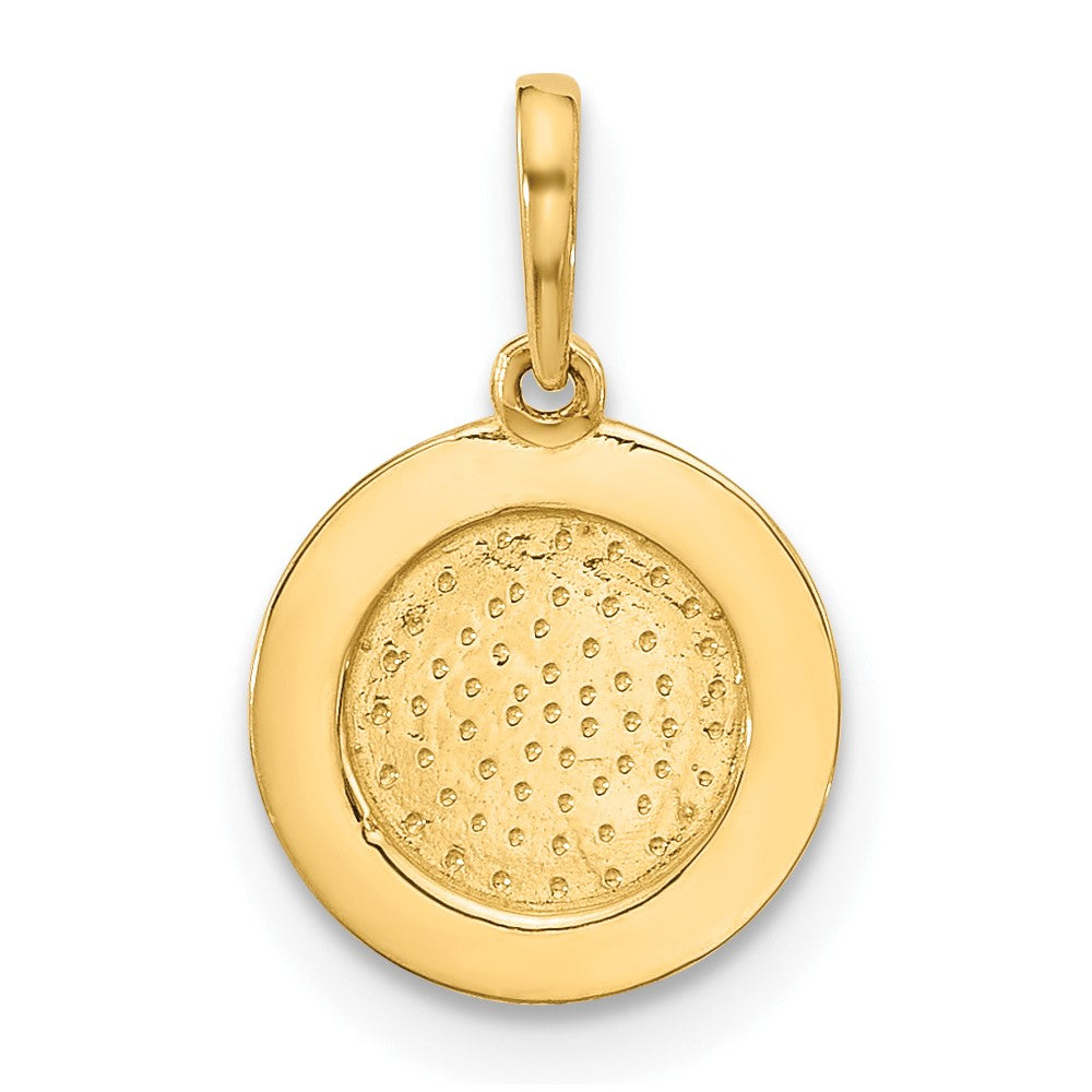 14K Yellow Gold Polished Round with Rope Border Charm