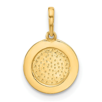 14K Yellow Gold Polished Round with Rope Border Charm
