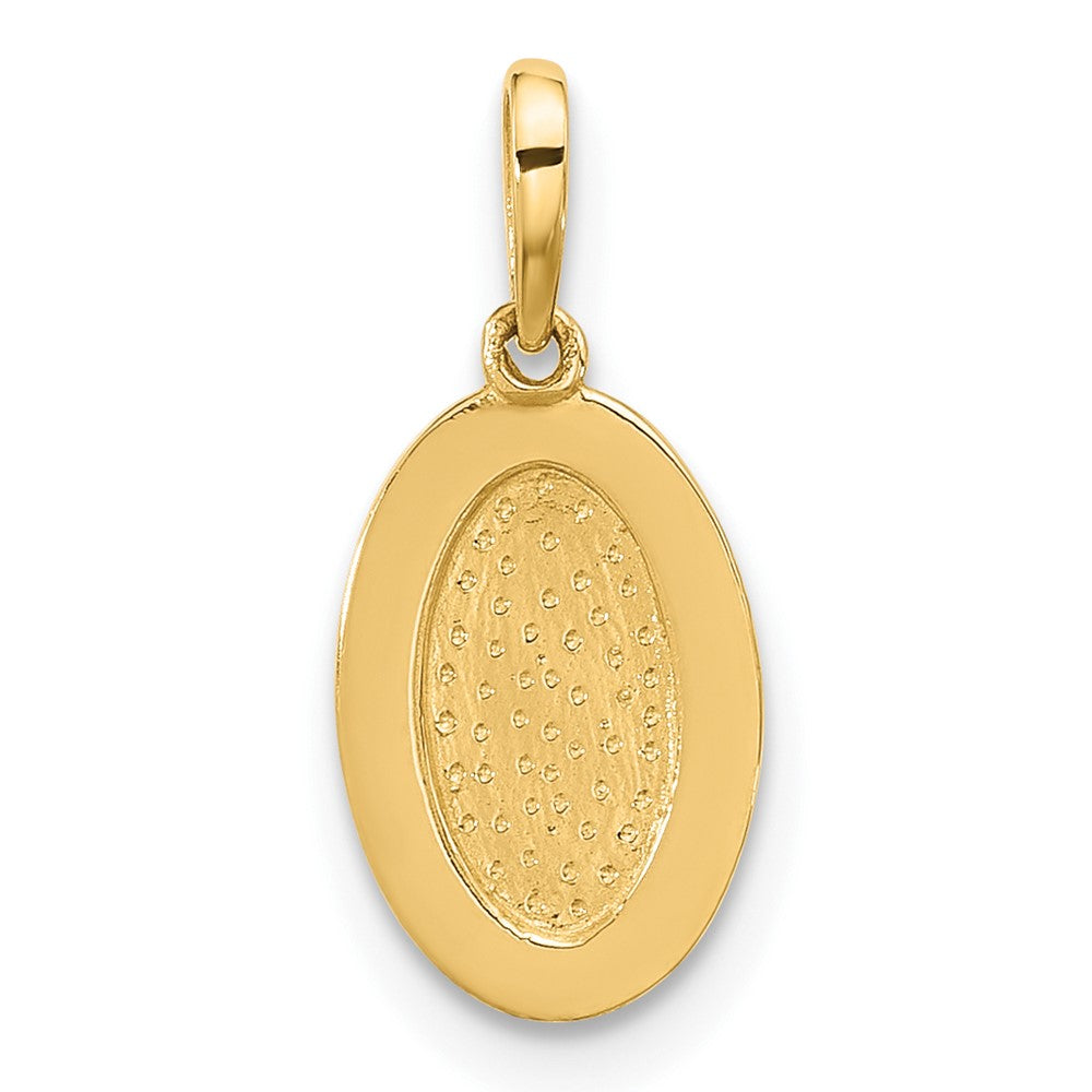 14K Yellow Gold Polished Oval with Rope Border Charm