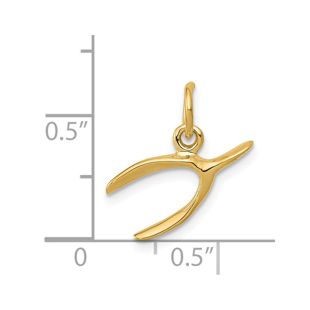 14k Yellow Gold 14k Wishbone Charm