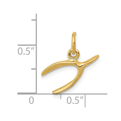 14k Yellow Gold 14k Wishbone Charm