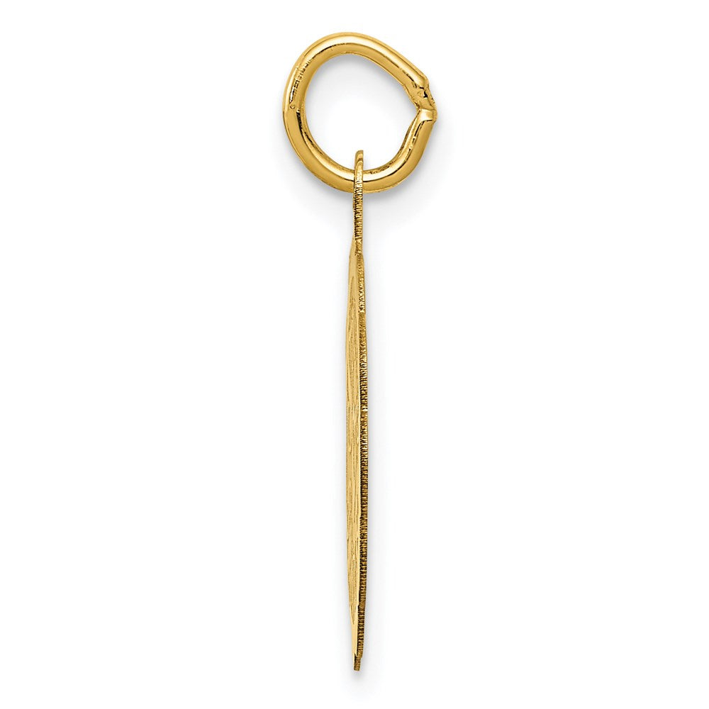 14k Yellow Gold 14K SPECIAL SISTER Charm