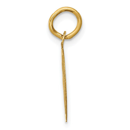 14k Yellow Gold 14k GRADUATION DAY Charm