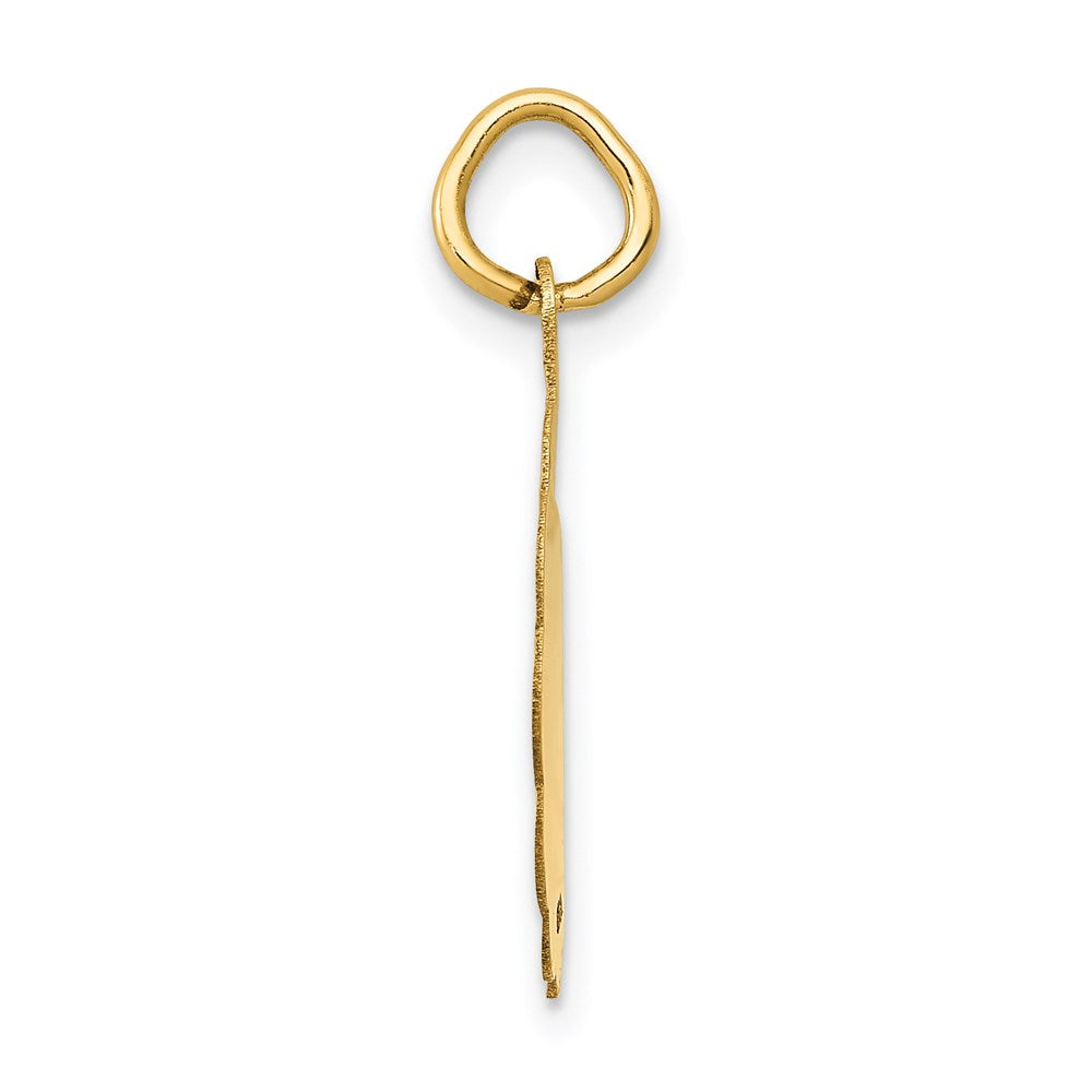 14k Yellow Gold 14k Polished IT'S A GIRL Scalloped Disc Charm