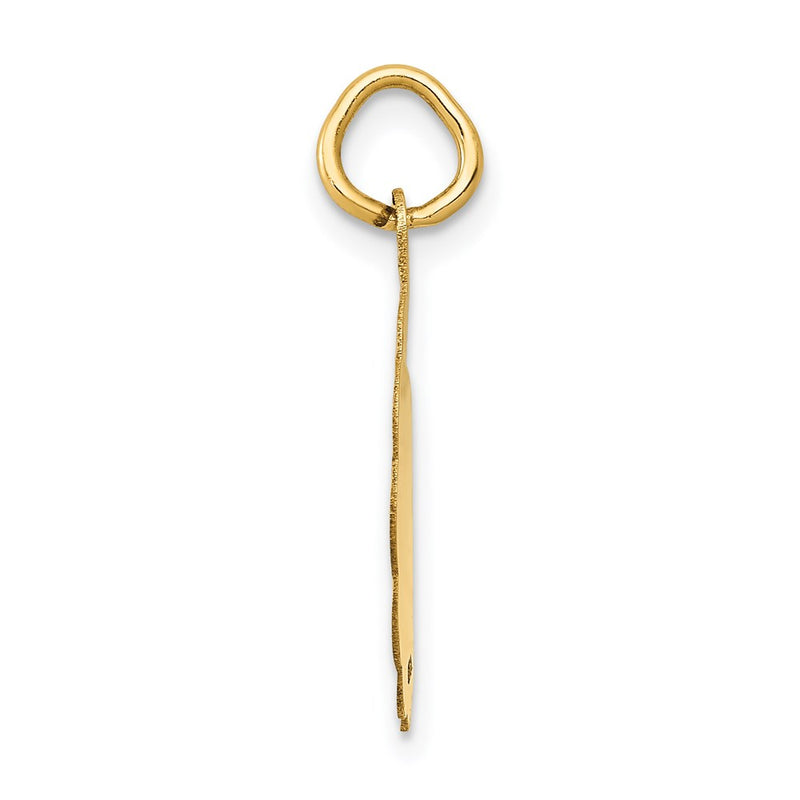 14k Yellow Gold 14k Polished IT'S A GIRL Scalloped Disc Charm