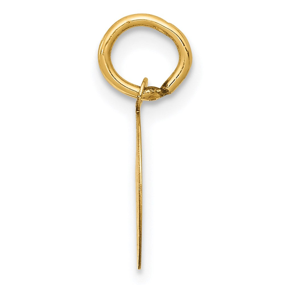14k Yellow Gold 14k Holy Communion Charm