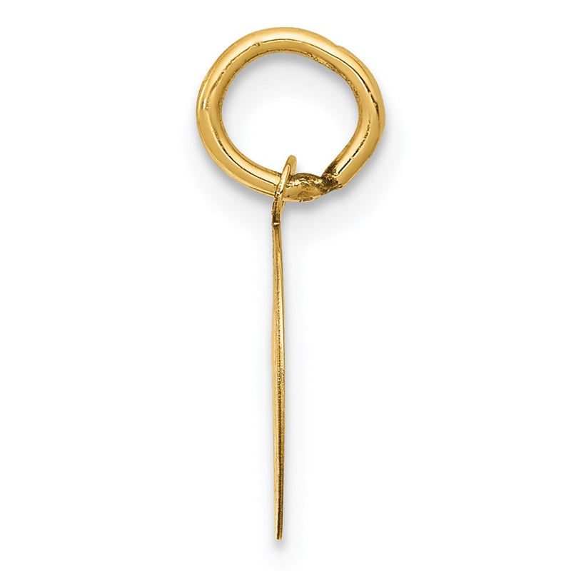 14k Yellow Gold 14k Holy Communion Charm