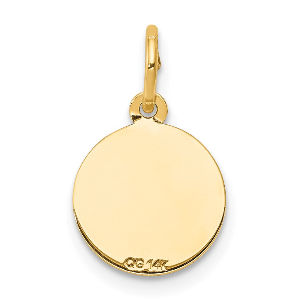 14k Yellow Gold 14k Holy Communion Charm
