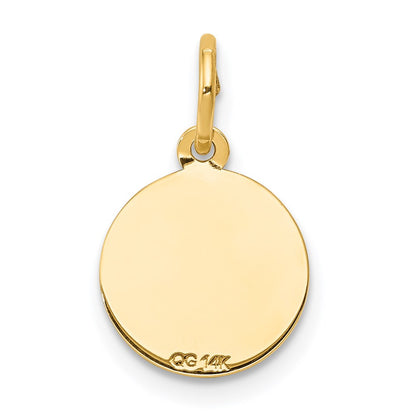 14k Yellow Gold 14k Holy Communion Charm