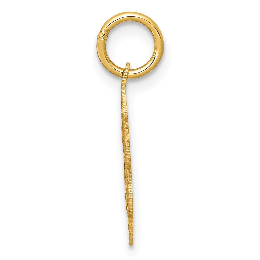14k Yellow Gold 14k Holy Communion Charm