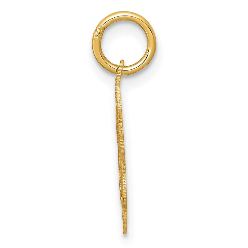 14k Yellow Gold 14k Holy Communion Charm