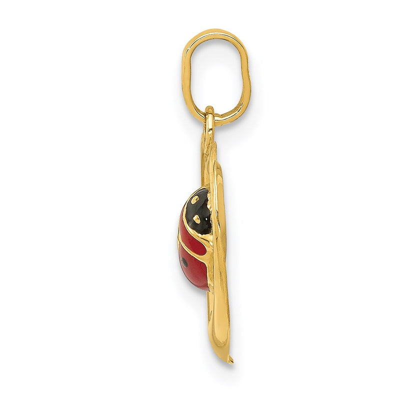 14k Yellow Gold 14k Enameled Ladybug in Heart Charm